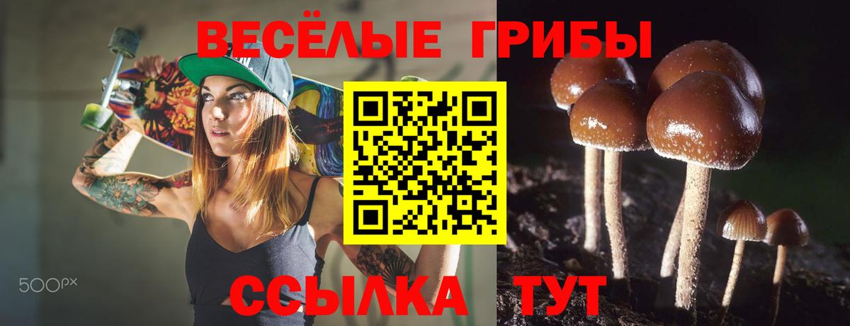 Галлюциногенные грибы ЛСД  Галлюциногенные грибы MAGIC MUSHROOMS  Мариинск  Вход с VPN 